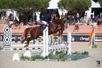 Vente de poney