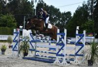 Vente de cheval : JODYLLE