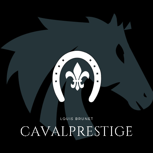 Cavalprestige, dbourrage, cours