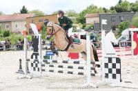 Vente de poney
