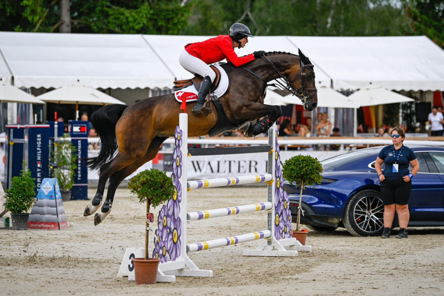 Vente de cheval : Conny blue 