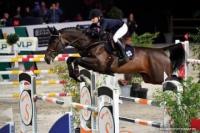 Vente de cheval : P **