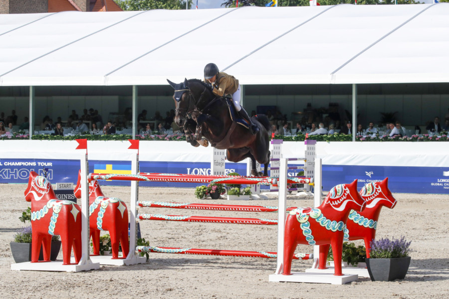 Vente de cheval : Kap-Jun Saint Pierremont