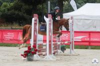 Vente de poney