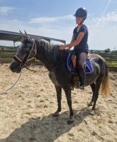 Vente de cheval : Recelosa 