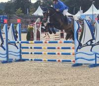 Vente de poney