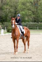 Vente de cheval : Money maker 