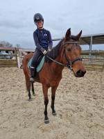 Vente de cheval : KATE