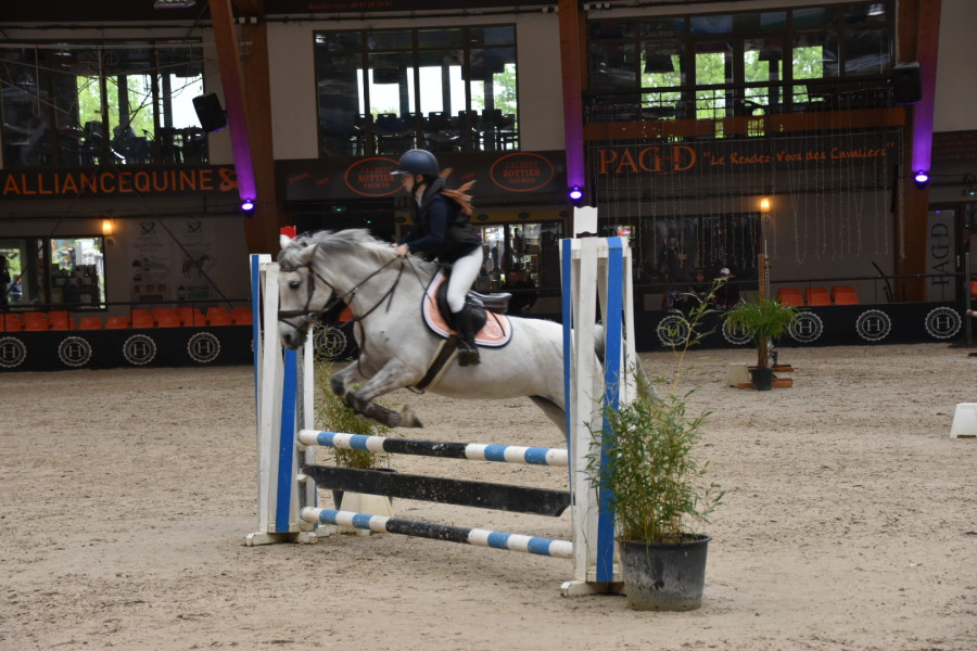 Vente de cheval : Paloma