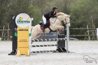Vente de poney