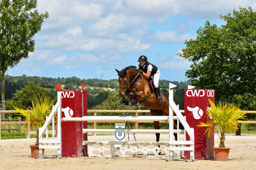Vente de cheval : Irish vibes la colerie