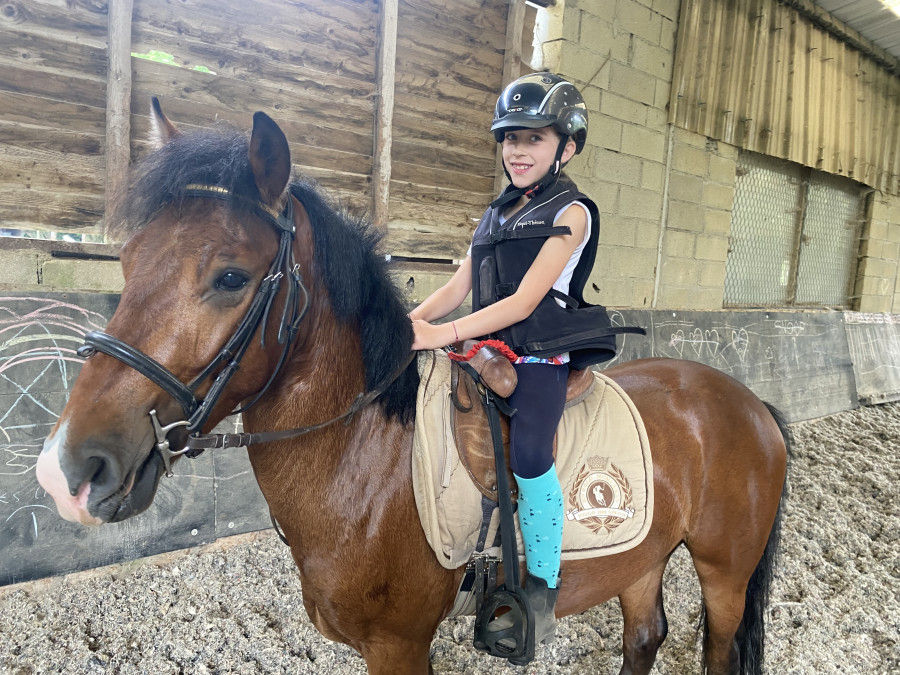 Vente de poney