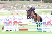 Vente de cheval : Jeep LS du Verron