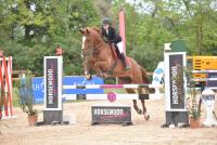 Vente de cheval : Visky Des Figarets