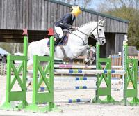 Vente de cheval : HORSE MAHA