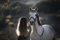 Vente de cheval : El Boy du Faci 