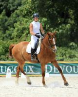 Vente de cheval : Vol au vent 