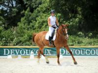 Vente de cheval : Vol au vent 
