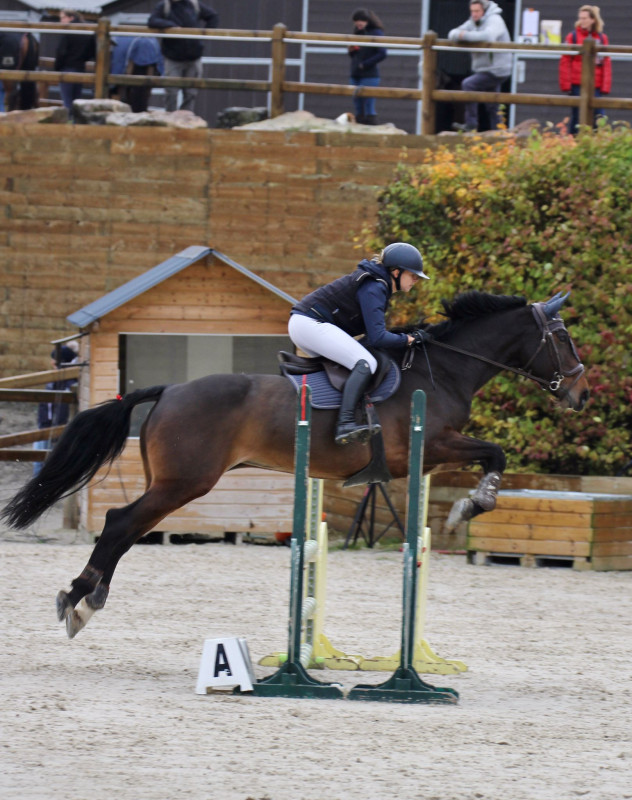 Vente de cheval : Uricaine