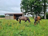 Vente Proprits questres