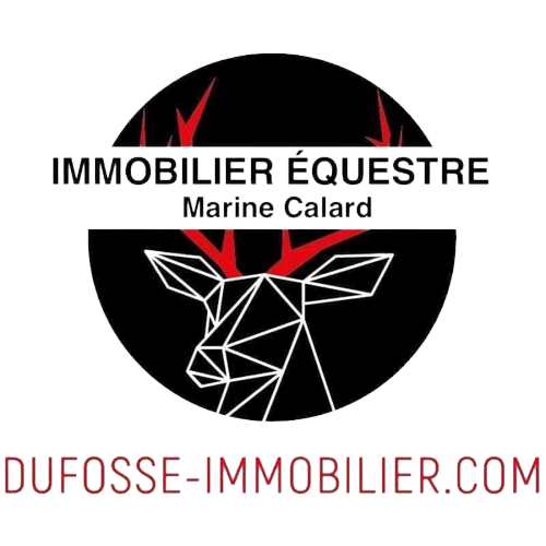 Vente Belles demeures questres
