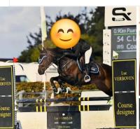 Vente de cheval : Coco