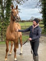 Vente de cheval : KRISTAL DES VAUX