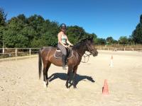 Vente de cheval : Amenemes des Bastides