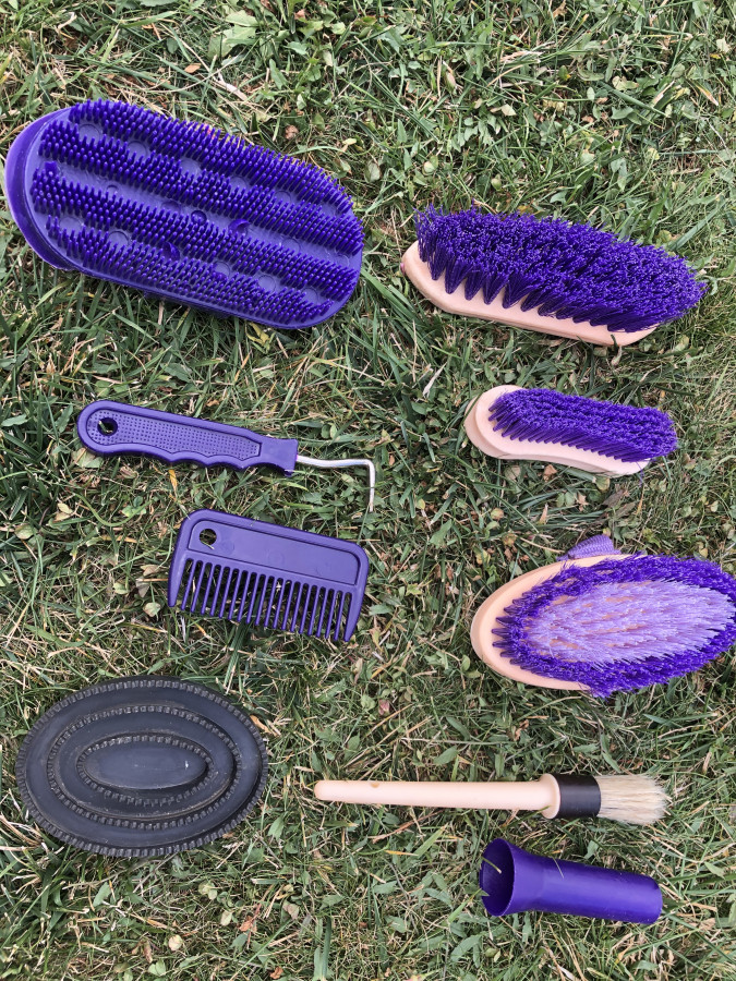 Unekez Lot de 4 brosses à chaussures en crin de cheval pour polir les chaussures en cuir