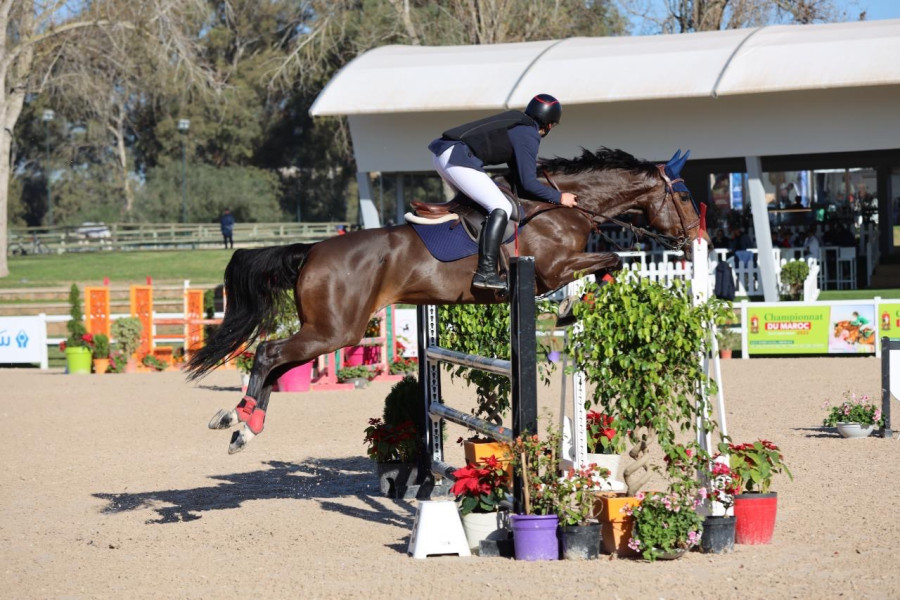 Vente de cheval : Herabora F