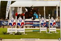 Vente de cheval : JUKE DES HOUNTS