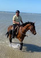 Vente de cheval : Samba d'avril