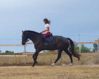 Monitrice d'quitation