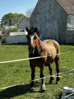 Particulier