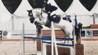Vente de poney