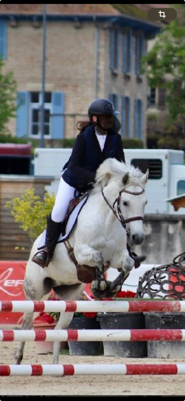Vente de poney