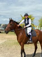 Vente de cheval : Jolie coeur de Breuil