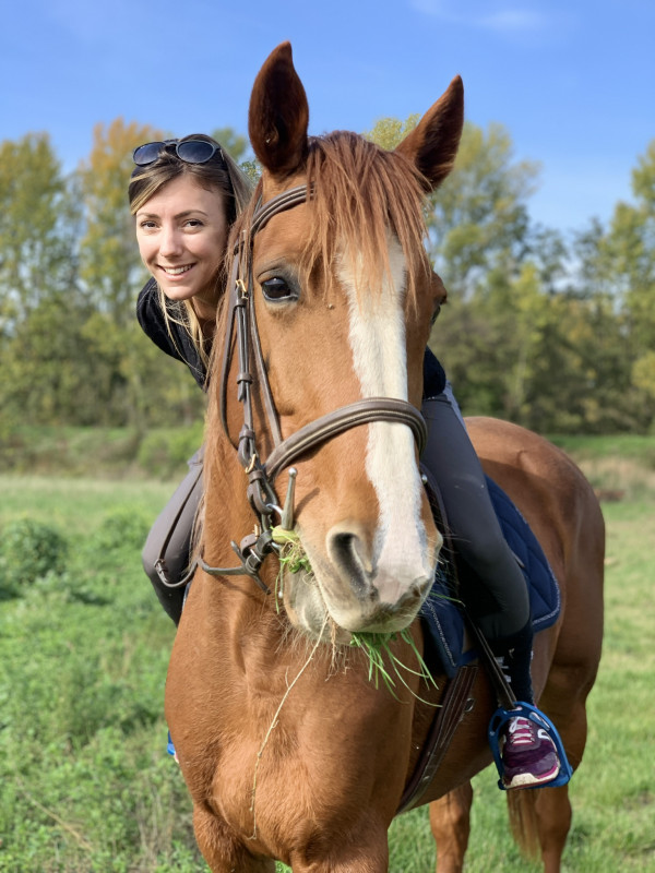 Jument trotteur français | ChevalAnnonce.com