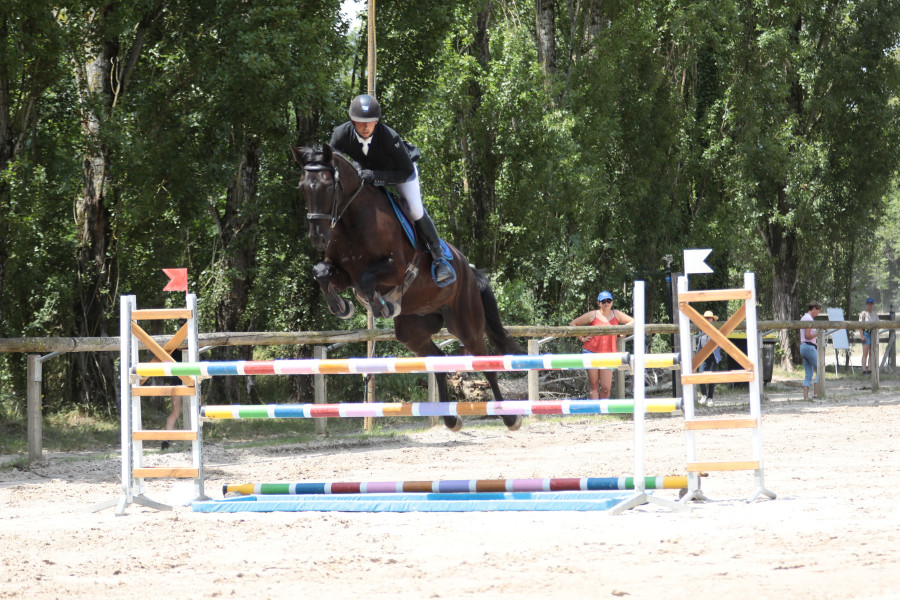 Vente de chevaux