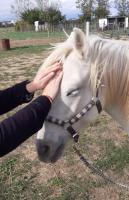 nergticienne animaux et humains (30)