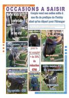 Vente de selle 265