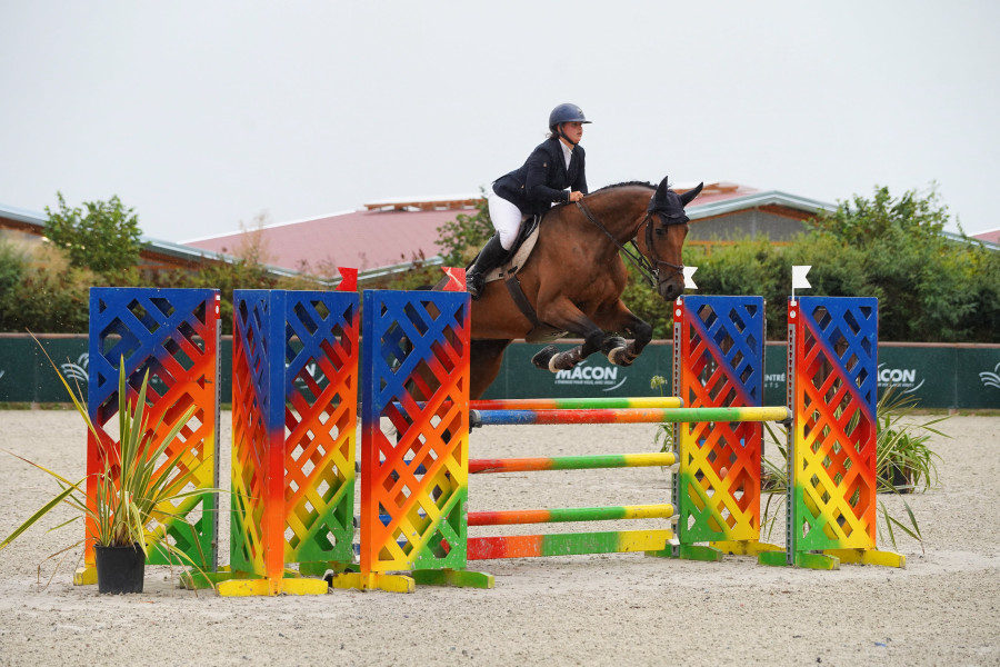 Vente de cheval : Deesse K du riol