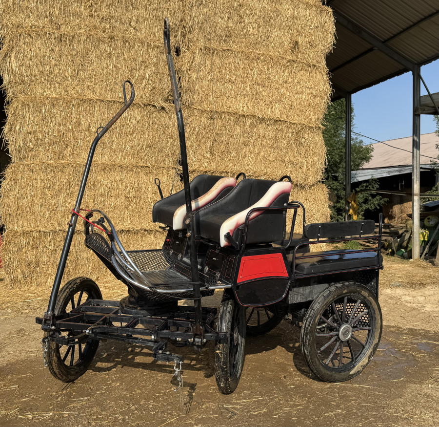 Wagonnette