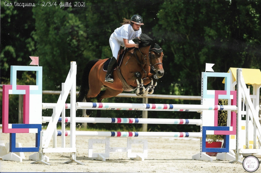 Vente de cheval : By me du soleil
