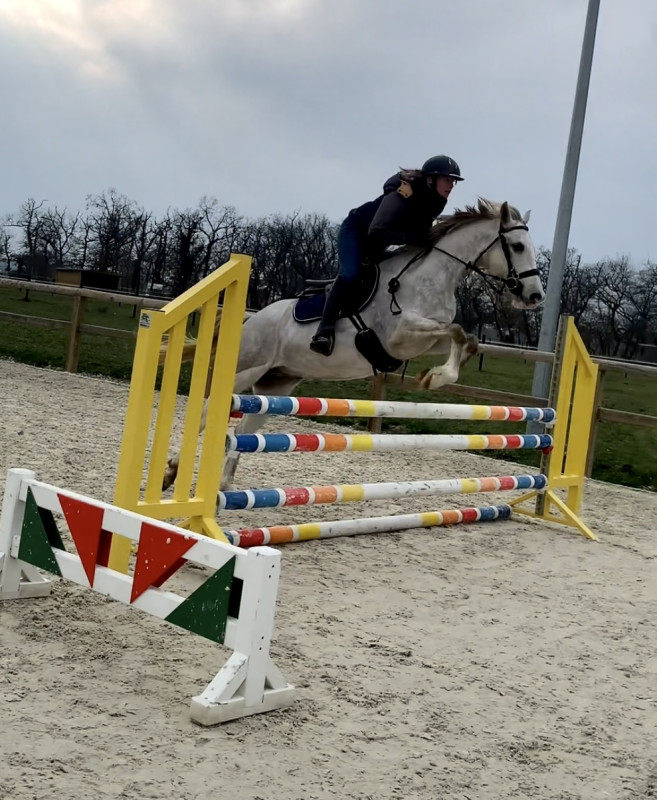 Vente de poney