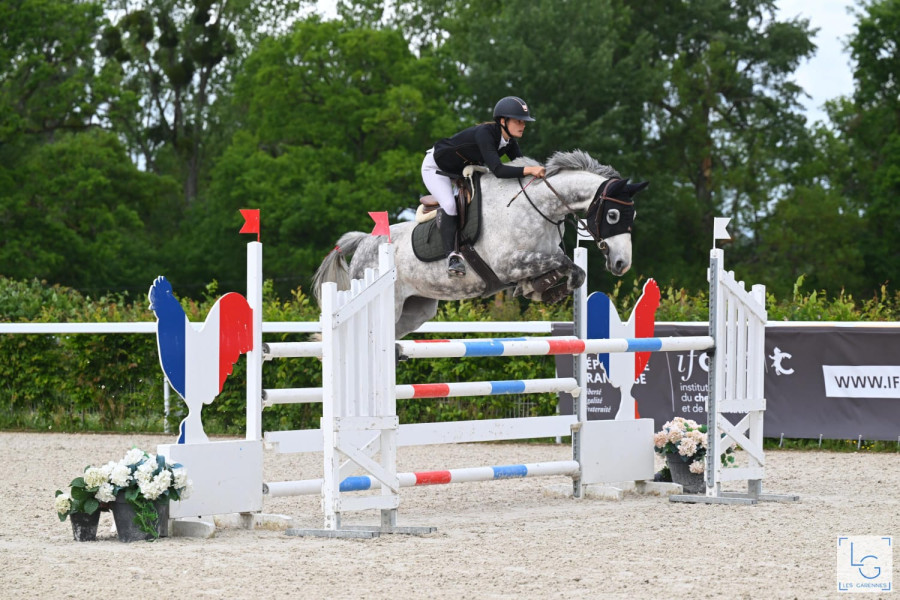 Vente de cheval : Hercus de Contrie