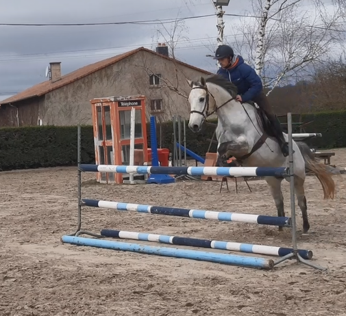Vente de poney