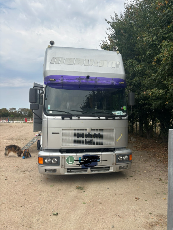 Camions chevaux