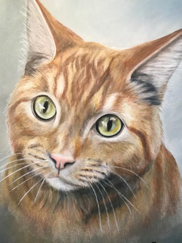 Dessins de portraits équestres et d�animaux