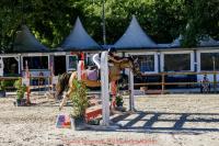 Vente de poney